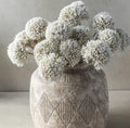 Abigail Ahern Allium Cream Bunch