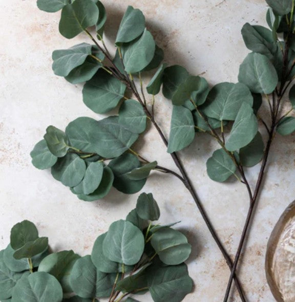 Abigail Ahern Eucalyptus Silver Dollar
