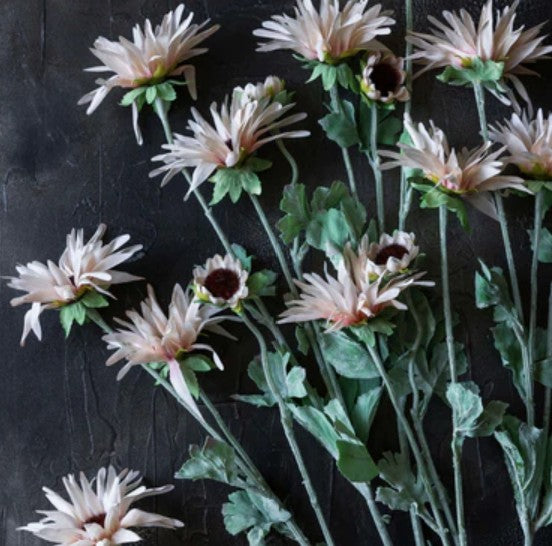 Abigail Ahern Chrysanthemum Blush