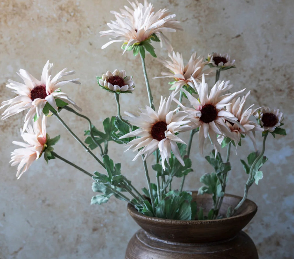 Abigail Ahern Chrysanthemum Blush