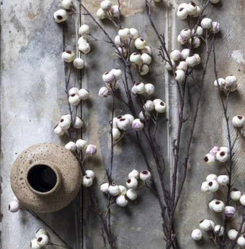 Abigail Ahern Hawthorn, Cream