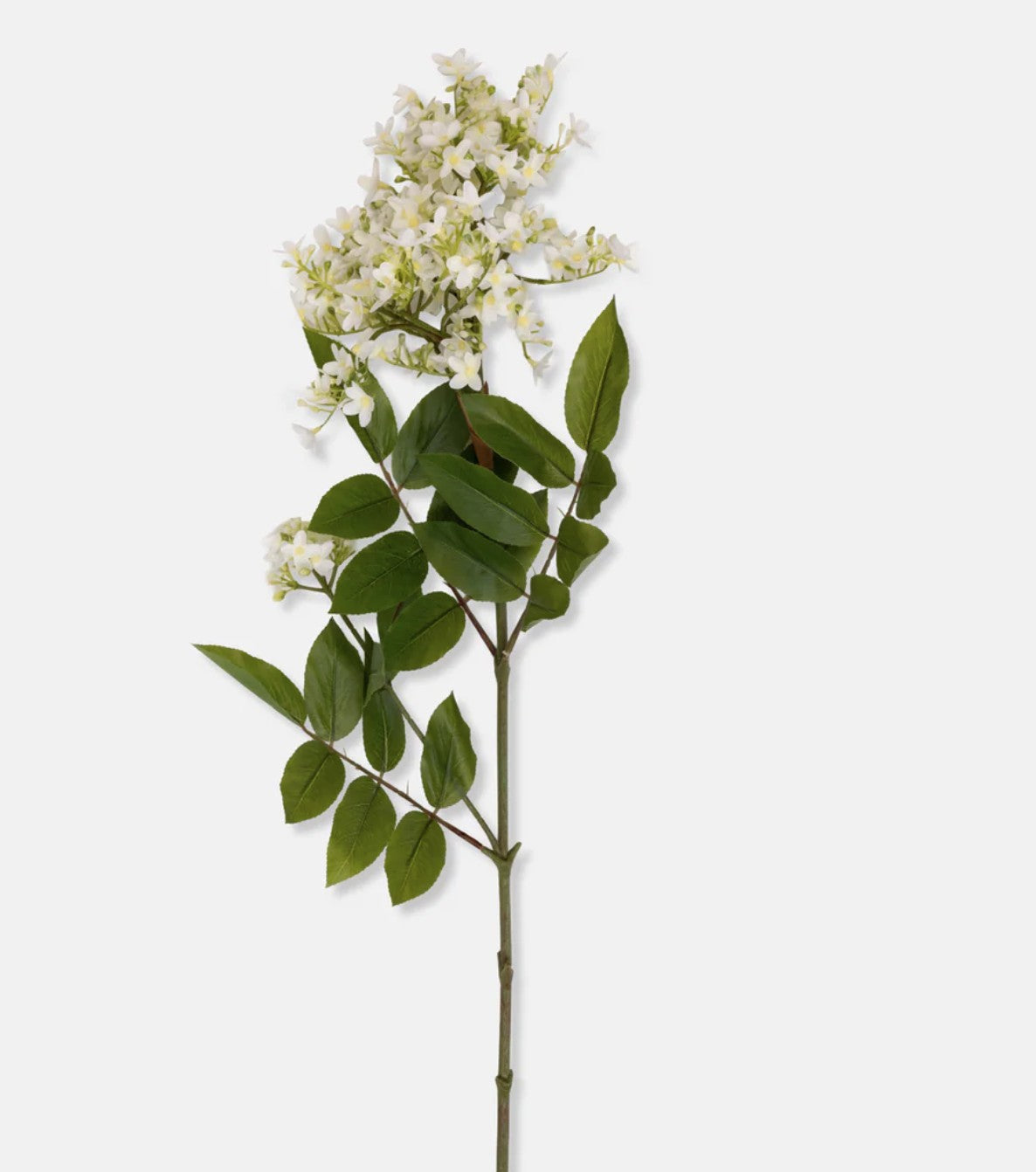 Abigail Ahern Lilac Stem, White