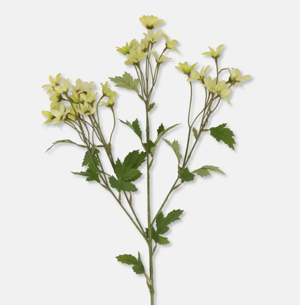 Abigail Ahern Meadow Daisy