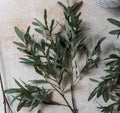 Abigail Ahern Olive Branch, Soft Green