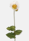 Abigail Ahern Poppy, White
