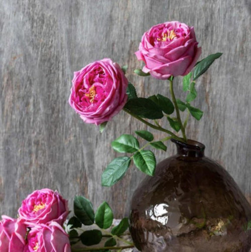 Abigail Ahern Real Touch Garden Rose, Mauve