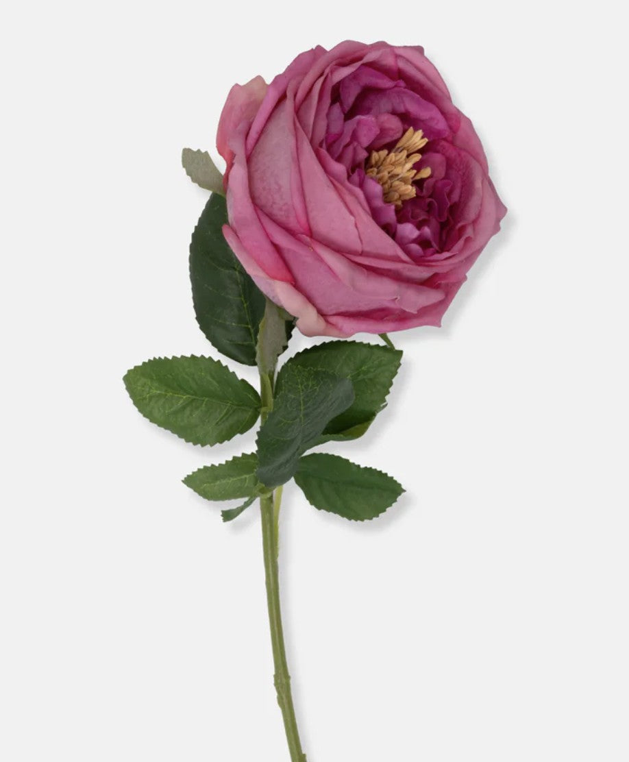 Abigail Ahern Real Touch Garden Rose, Mauve