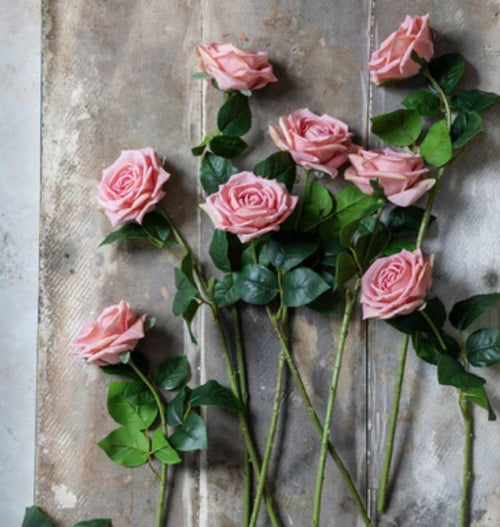 Abigail Ahern Real Touch Rose, Peach