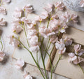 Abigail Ahern Real Feel Sweet Pea