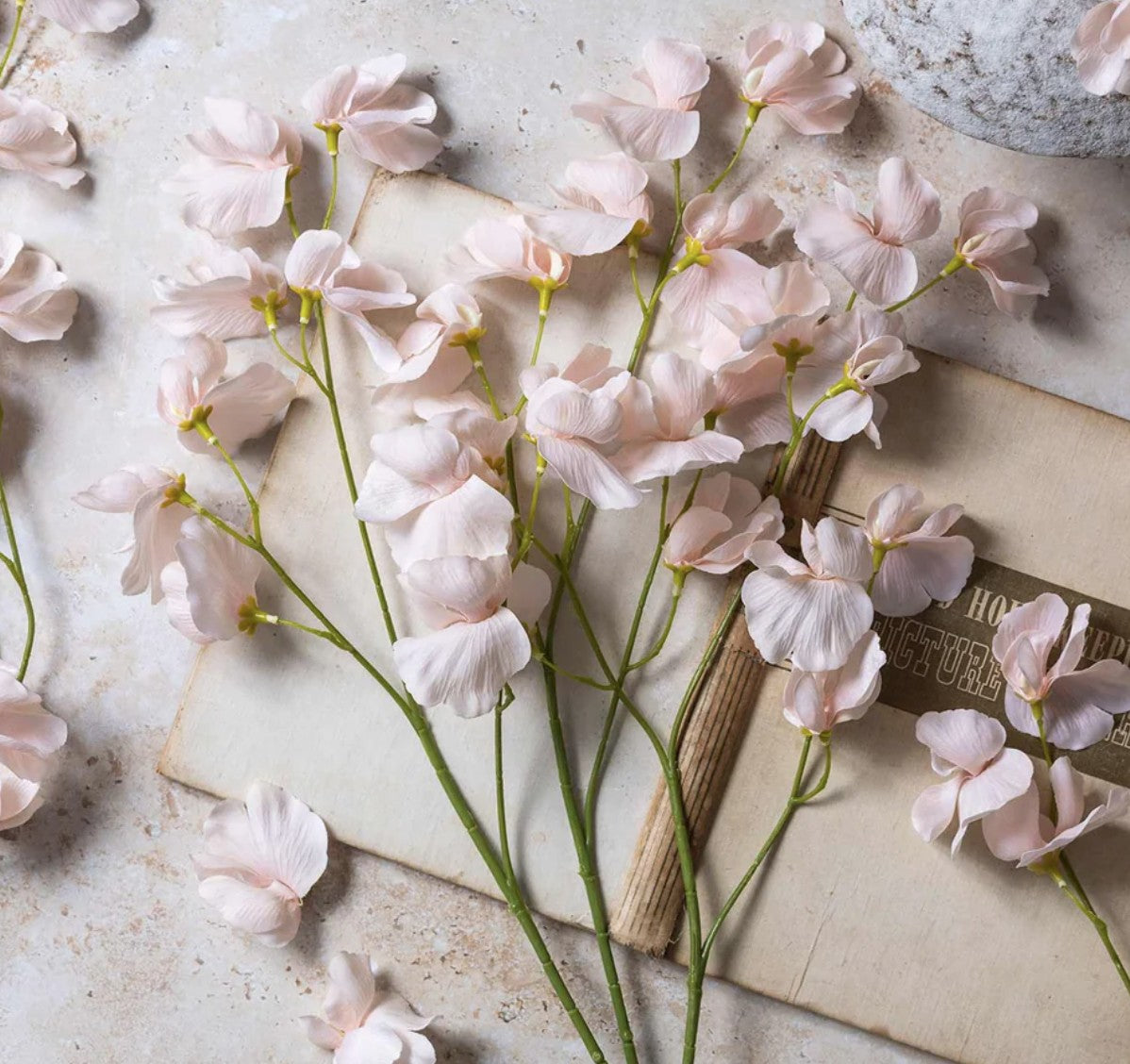 Abigail Ahern Real Feel Sweet Pea