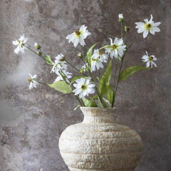 Abigail Ahern Wild Cosmos