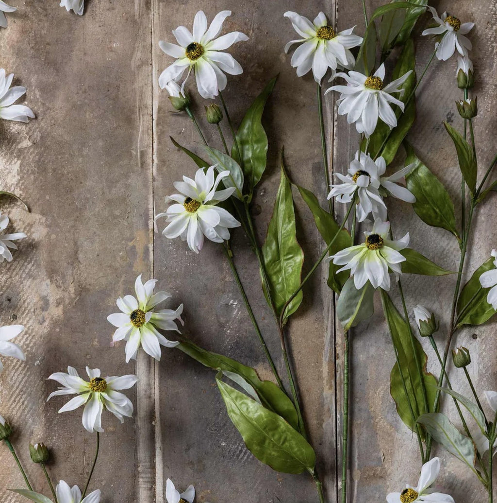 Abigail Ahern Wild Cosmos
