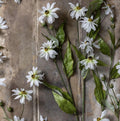 Abigail Ahern Wild Cosmos