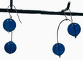 CanDid Art Bubble Celestrial Earrings: Cobalt Blue