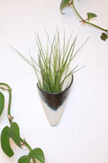 Carter & Rose Ceramic Cone
