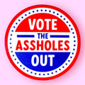 Hissin Kitten Vote the Assholes Out Sticker
