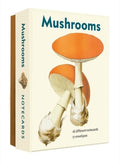 Mushrooms Notecards