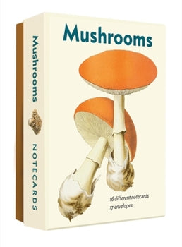 Mushrooms Notecards
