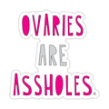 Near Modern Disaster Ovaries are Assholes Sticker