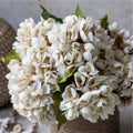 Abigail Ahern Hydrangea Morning Mist