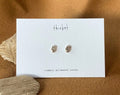 Thicket Common Milkweed Studs