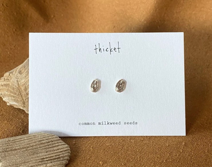 Thicket Common Milkweed Studs