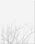 Quick Brown Fox Winter Branches Card