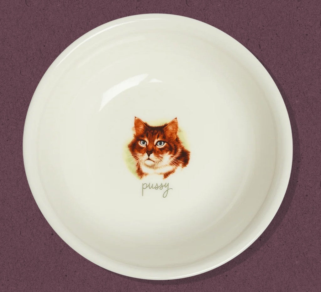 Fishs Eddy All in the Family Pussy Bowl