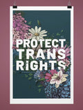 Transpainter Protect Trans Rights Print