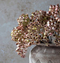 Abigail Ahern Rose Hip Bunch Blush