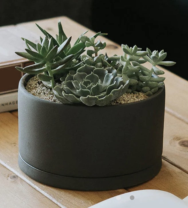 Kinto PLANT POT 170mm