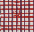 Suzette Mira Paisley Napkins