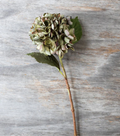 Abigail Ahern Hydrangea Chloris Stem