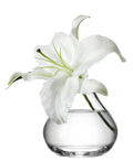 LSA, Flower Sprig Vase
