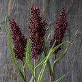 Abigail Ahern Wetland Heirloom