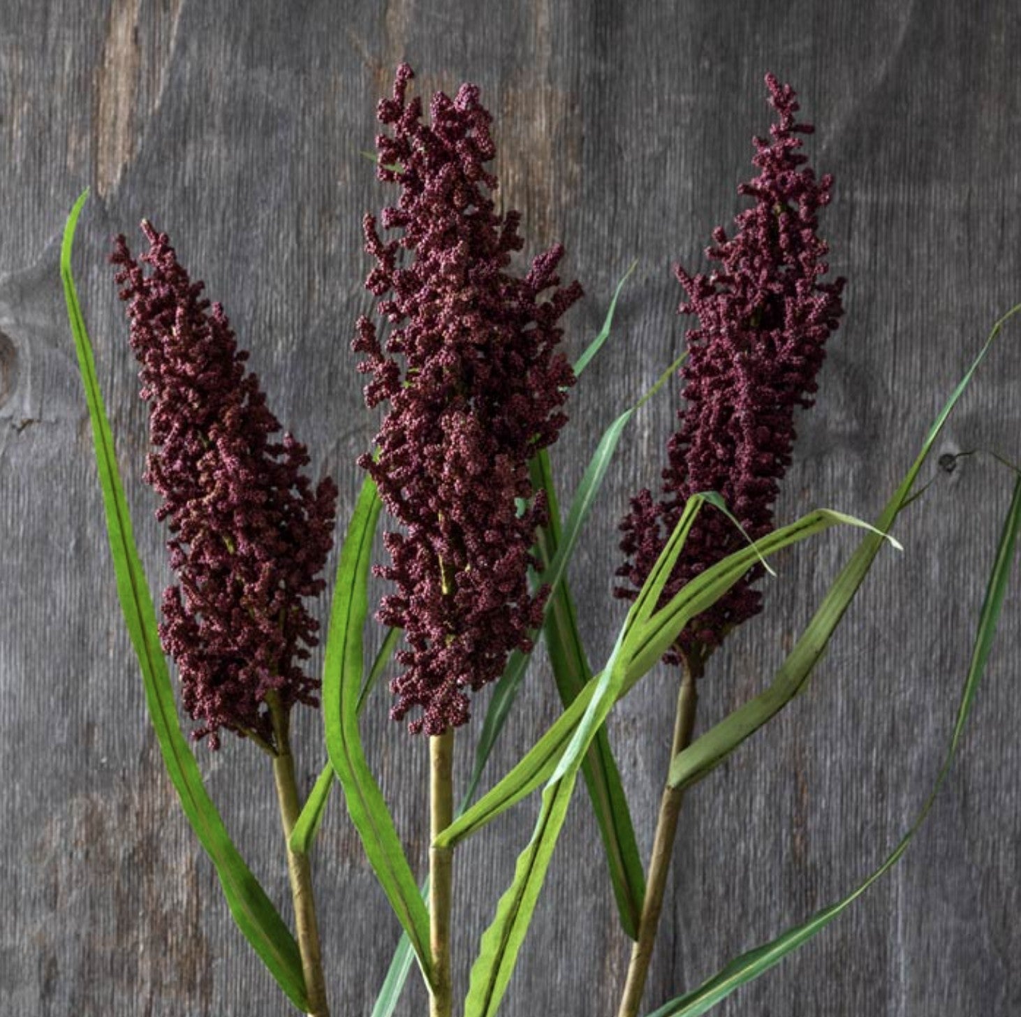 Abigail Ahern Wetland Heirloom