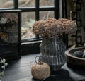 Abigail Ahern Sedum Cloud Stem