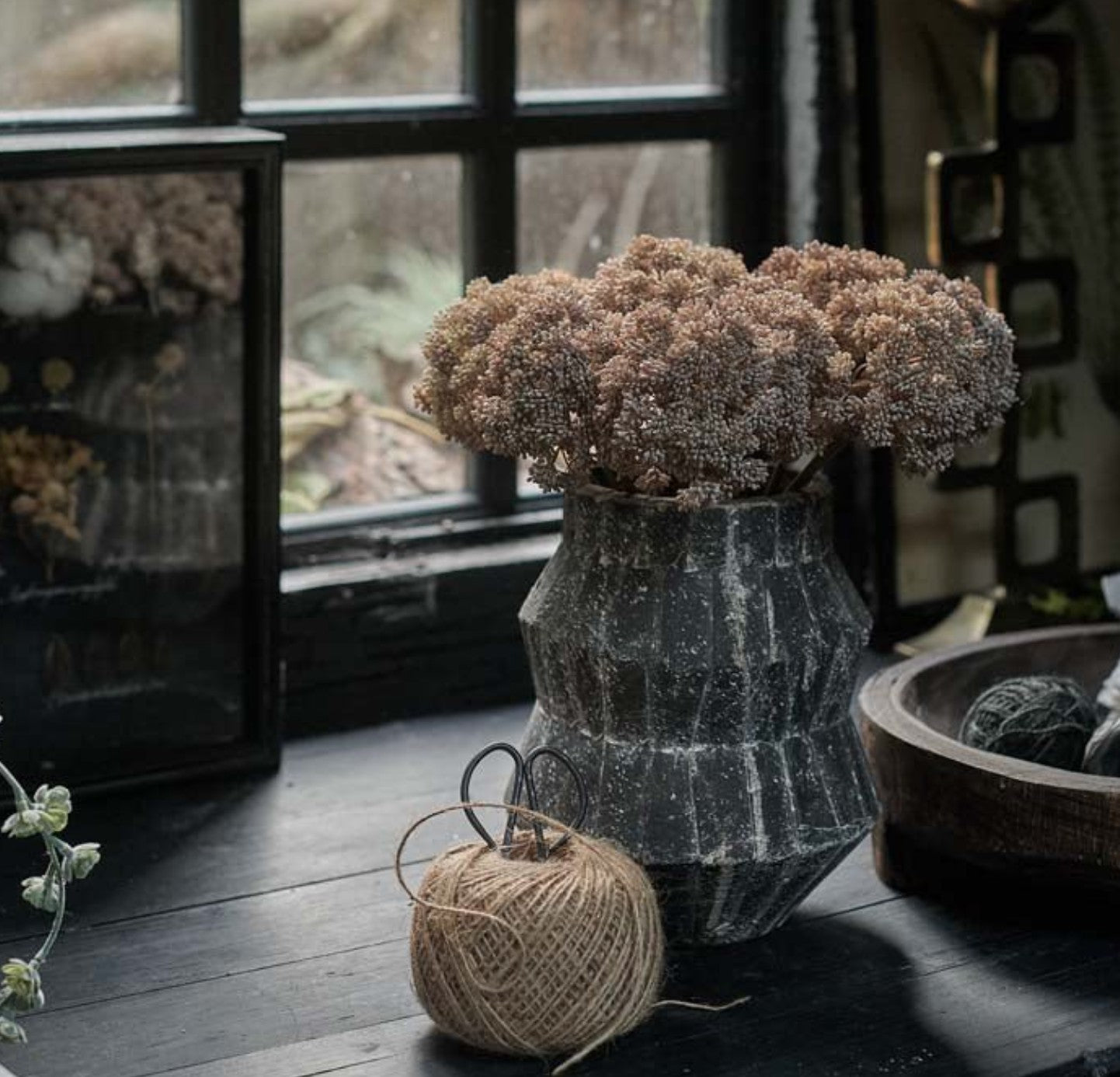 Abigail Ahern Sedum Cloud Stem