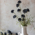 Abigail Ahern Melaleuca Noir Stem