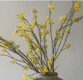 Abigail Ahern Witch Hazel Stem