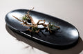 Patrick Cain Valley Tray