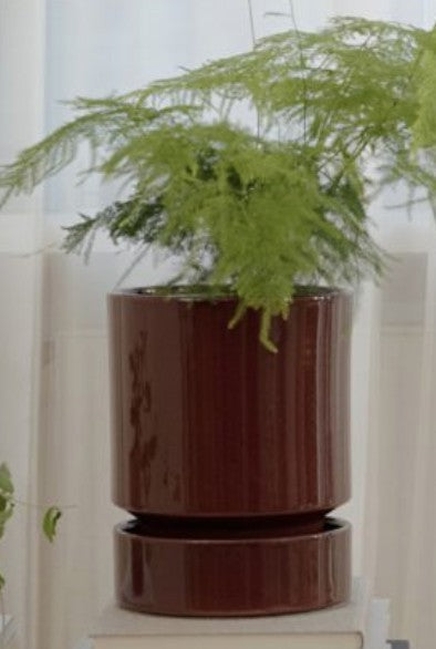 Bergs Hoff Deep Burgundy 18cm Pot