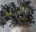Abigail Ahern Brunia Berry