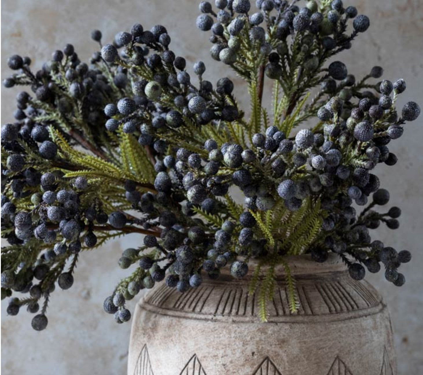 Abigail Ahern Brunia Berry