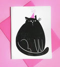 Pier Six Party Cat Birthday