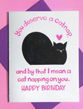 Pier Six Cat Nap Birthday