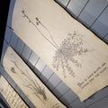 Sugarboo Wall Tarp