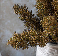 Abigail Ahern Sorghum Stem Umber