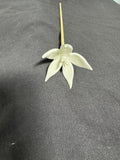 Purely Porcelain Individual Diffuser