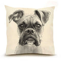Eric And Christopher Pillows, Large